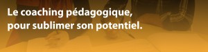 Le coaching pedagogique pour sublimer son potentiel